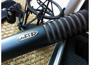 Royer Labs R-101 (44755)