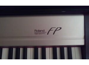 Roland FP-5 (9821)