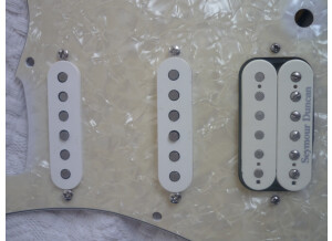 Fender Texas Special Strat Pickups (77174)