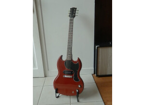 Tokai Guitars sg junior
