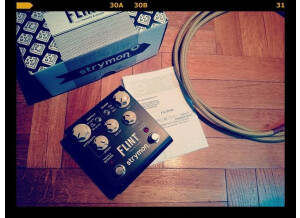 Strymon Flint (56576)