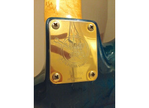 Valley Arts Guitars CUSTOM PRO USA