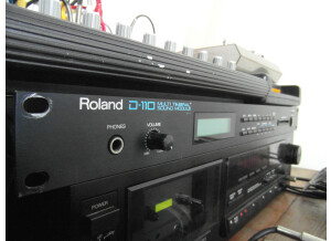 Roland D-110 (73606)
