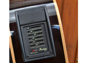 Hohner EBCE Ebony (8587)