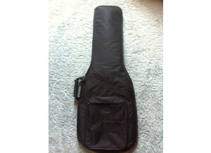 Fender Deluxe Gig Bag Strat/Tele (17718)