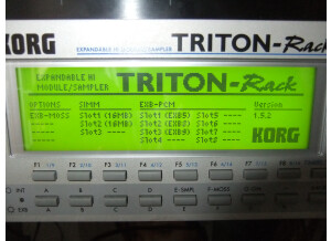 Korg Triton Rack (5760)