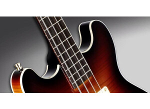 Warwick Star Bass (3558)
