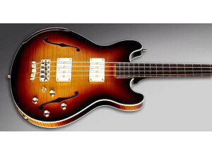 Warwick Star Bass (28577)