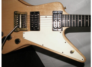 Gibson Explorer 1980