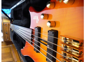 Vigier Arpège III 5 cordes