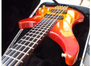 Vigier Arpège III 5 cordes