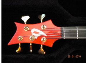 Vigier Arpège III 5 cordes