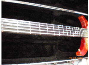 Vigier Arpège III 5 cordes