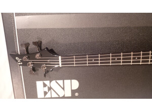 ESP Forest-B - Black (61355)
