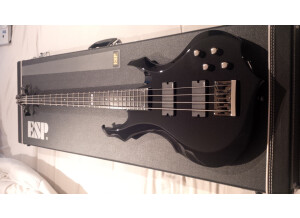 ESP Forest-B - Black (23011)
