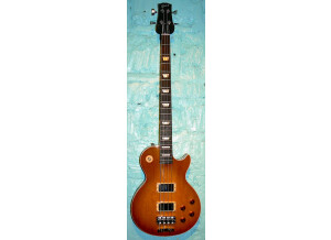 Gibson Les Paul Standard Bass (220)