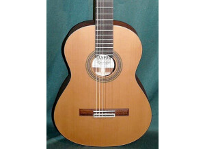 Elypse Guitars Garlaban C5M (30414)