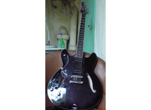 Hagstrom Viking II