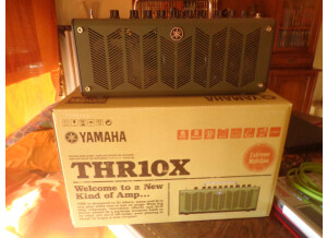 Yamaha THR10X (89510)