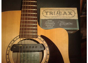 Takamine TRI-AX