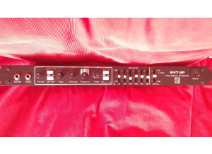 Ampeg SVT-IIP (12293)