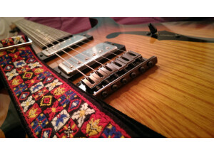 Ibanez PGM401 - Tri Fade Burst