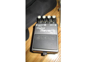 Boss RV-2 Digital Reverb (70989)