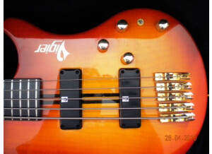 Vigier Arpège III 5 cordes