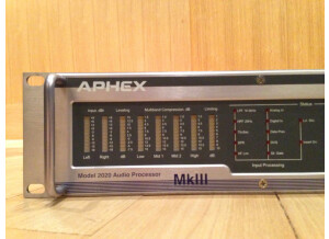 Aphex 2020 MK3 Audio Processor (15352)