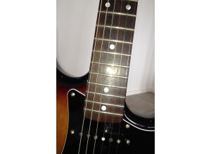 Warmoth Stratocaster (65985)