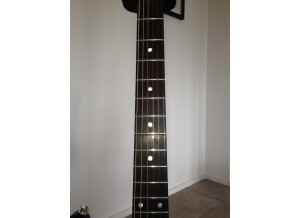 Warmoth Stratocaster (9668)