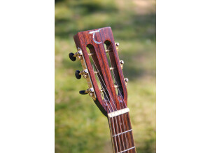 Tanglewood TW73 VS (64055)