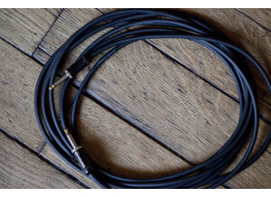 Planet Waves American Stage (9393)