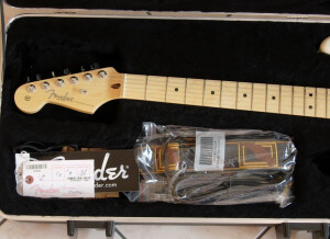 Fender Stratocaster New American Standard Gaucher 8080