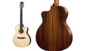 Taylor 214ce