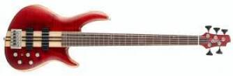 Cort Artisan A5
