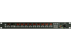 Mesa Boogie TriAxis (4989)