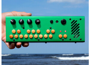 Critter and Guitari Pocket Piano (95340)