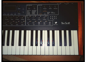 Dave Smith Instruments Prophet ?08 Pot Edition (57411)