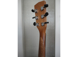 Cort Earth-Grand - Open Pore