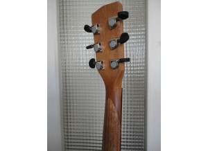 Cort Earth-Grand - Open Pore Blackwood