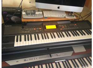 Roland Clavier Roland E-09