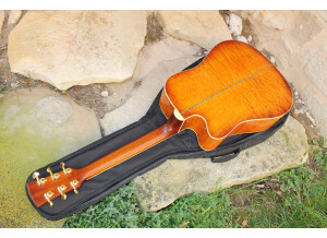 Ibanez AW200ECE - Vintage Violin
