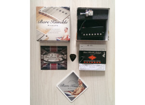 Bare Knuckle Pickups cold sweat