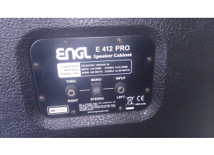 ENGL E412VS Pro Slanted 4x12 Cabinet (38952)