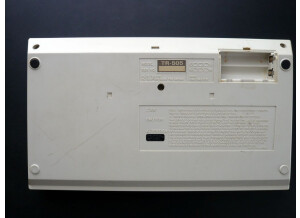 Roland TR-505 (12662)