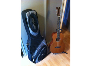 Tanglewood TW133 (22817)