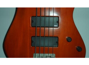 Godin BG-5 Bass