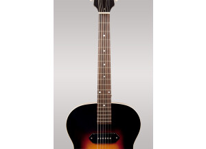 LH-301T neck