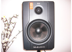 M-Audio BX8 D2 (90664)